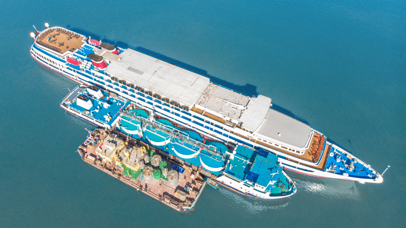 Shutterstock 1401469652